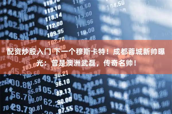 配资炒股入门 下一个穆斯卡特！成都蓉城新帅曝光：曾是澳洲武磊，传奇名帅！